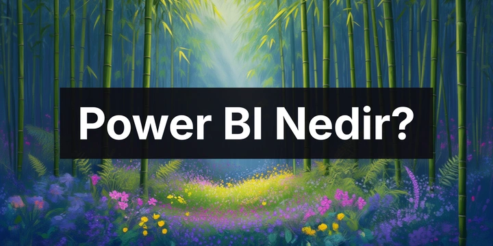Power BI Nedir? Nasıl Kullanılır?