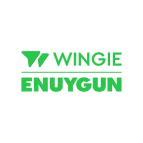 Wingie Enuygun