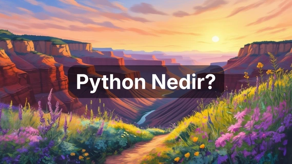 Python Nedir? Python Programlama Dili ve Eğitimi