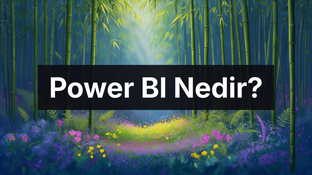 Power BI Nedir? Nasıl Kullanılır?