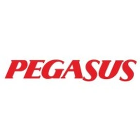 Pegasus