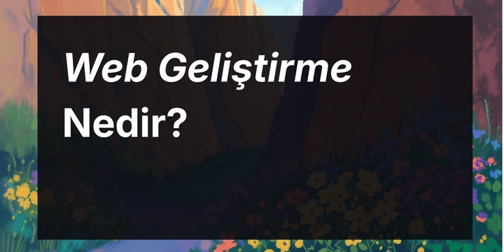 Web Geliştirme Nedir, Web Geliştirici Ne İş Yapar?