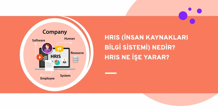 HRIS (İnsan Kaynakları Bilgi Sistemi) Nedir? HRIS Ne İşe Yarar?