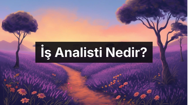 İş Analisti Nedir? İş Analisti Ne İş Yapar?