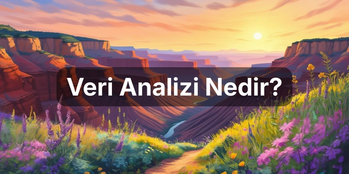 Veri Analizi Nedir?