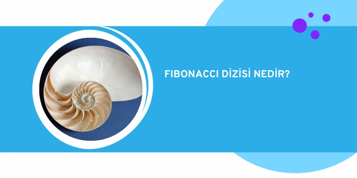 Fibonacci Dizisi Nedir? Kuralı Nedir, Nasıl Bulunur?