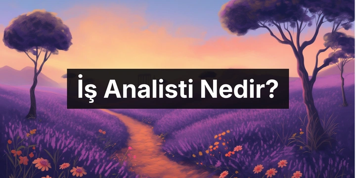 İş Analisti Nedir? İş Analisti Ne İş Yapar?