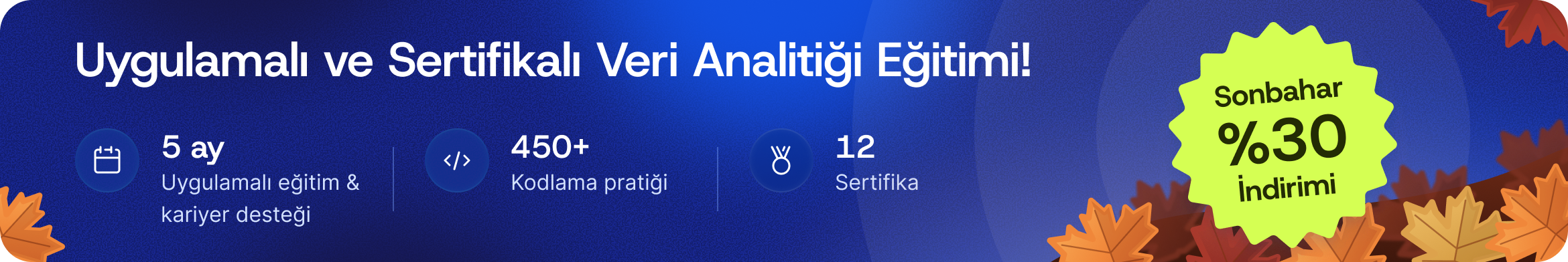 Veri Analitiği